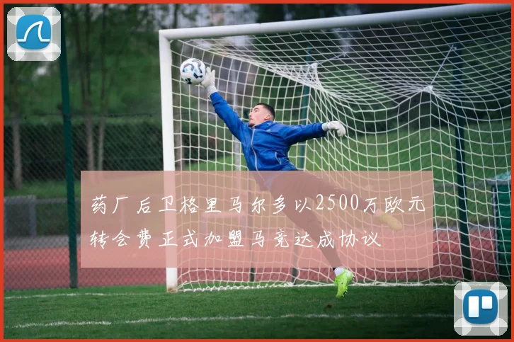 药厂后卫格里马尔多以2500万欧元转会费正式加盟马竞达成协议