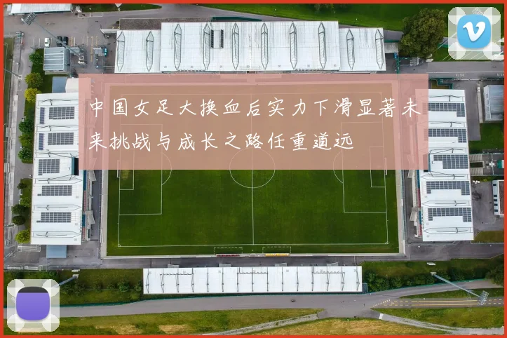 中国女足大换血后实力下滑显著未来挑战与成长之路任重道远