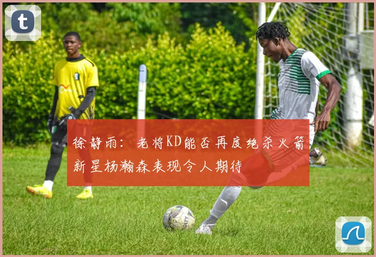 徐静雨：老将KD能否再度绝杀火箭新星杨瀚森表现令人期待